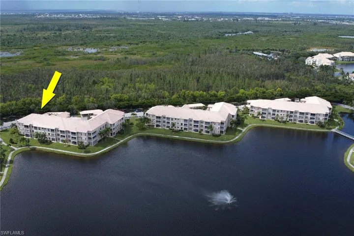 Drone / aerial view of a forest and a large body of water
