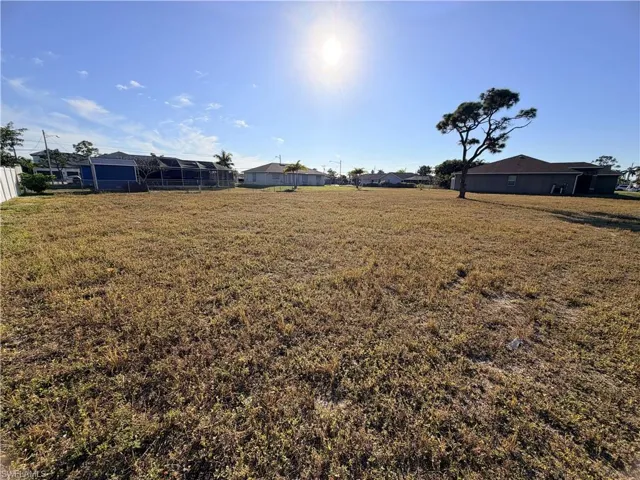 View of grassy yard
