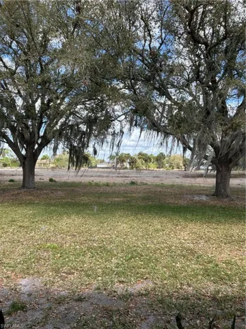 View of Large backyard and lovely Oak trees.
