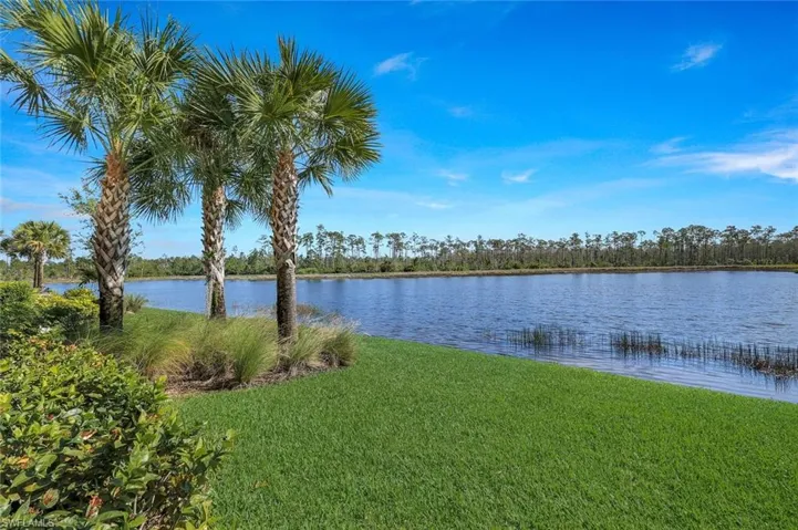 Green Space Beyond Lanai