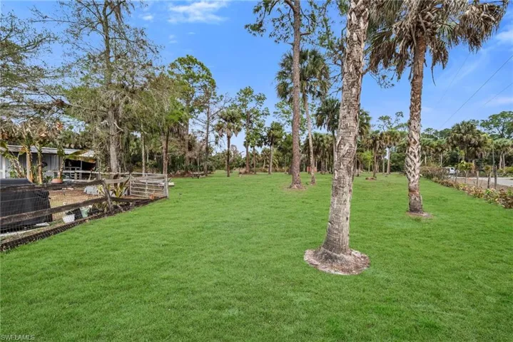 View of grassy yard