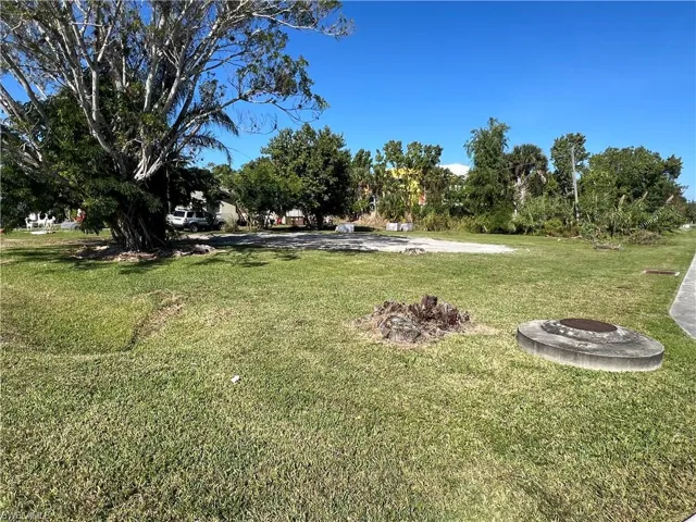 View of grassy yard