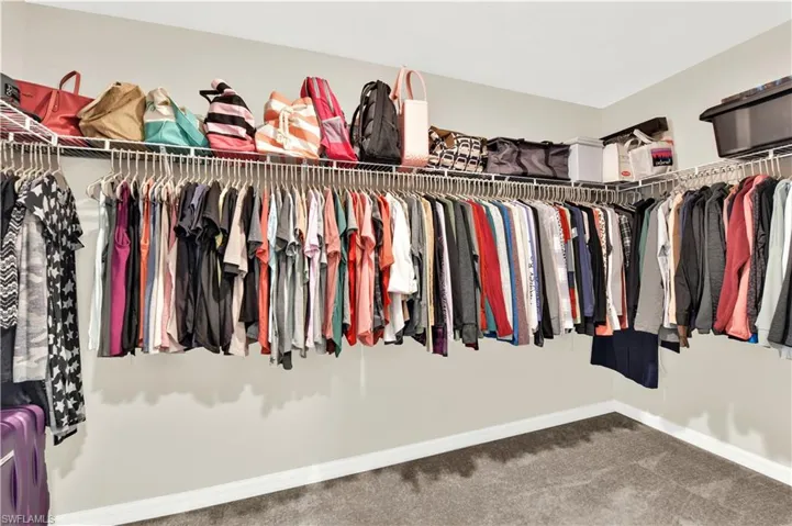Spacious closet with carpet flooring