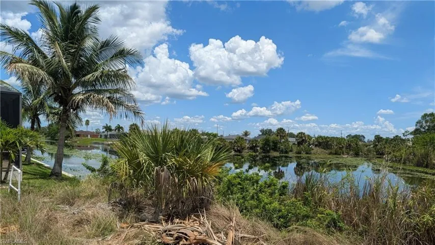 Expansive waterfront views featuring mature palm trees and lush greenery