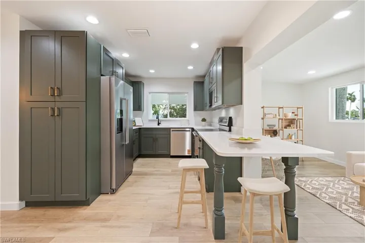 Kitchen with stainless steel appliances, plenty of natural light, light wood finished floors, and recessed lighting