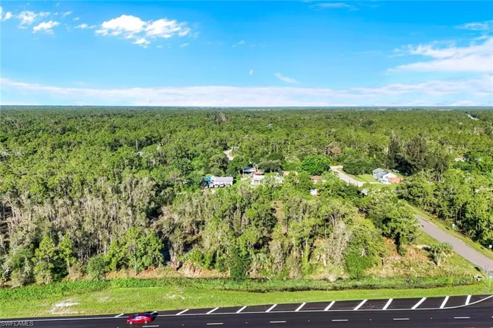 Bird's eye view of a forest