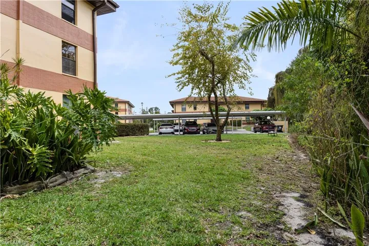 View of green lawn