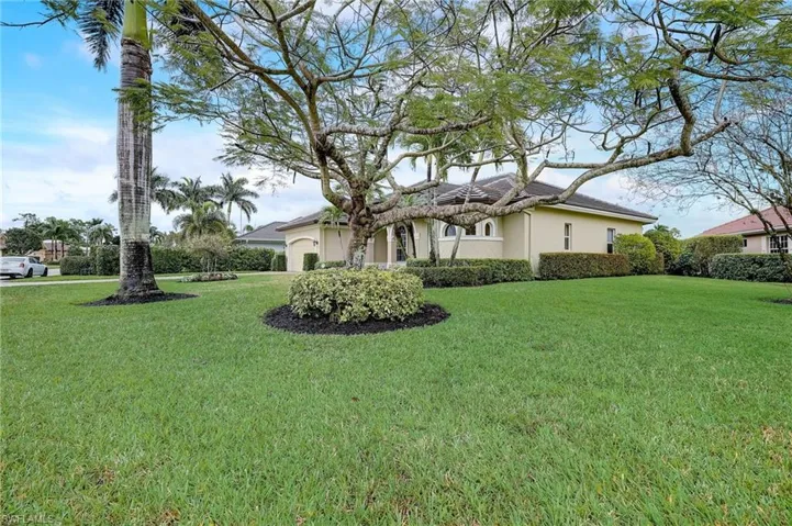 Huge yard