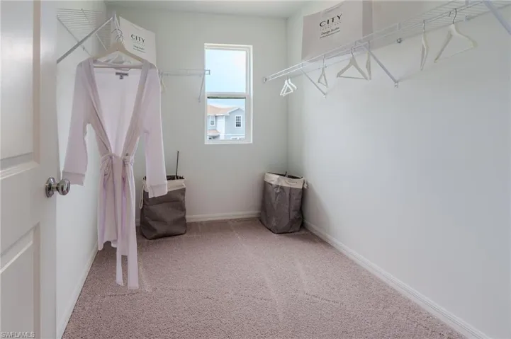 Walk-in closet featuring light-colored carpeting, white walls, and a single window
