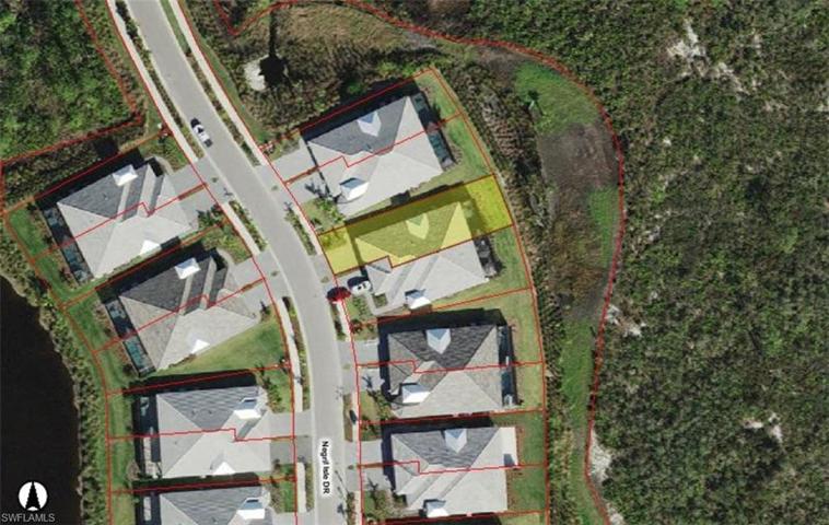 Property Lines