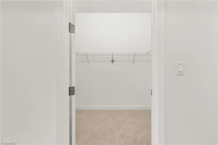 Walk in closet with light colored carpet