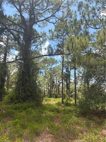 760 N Jinete St, Clewiston, Florida 33440