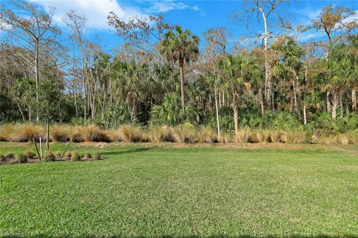 Manicured lawn with a natural tree line backdrop featuring palm trees and deciduous trees