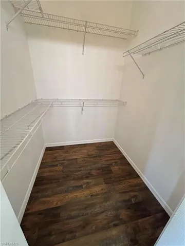 Spacious closet with dark wood-type flooring