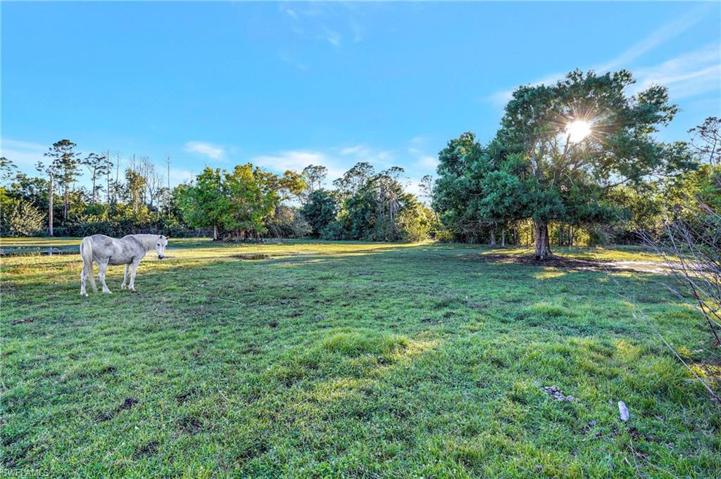 8200  Dosonte  LN, North Fort Myers, FL 33917