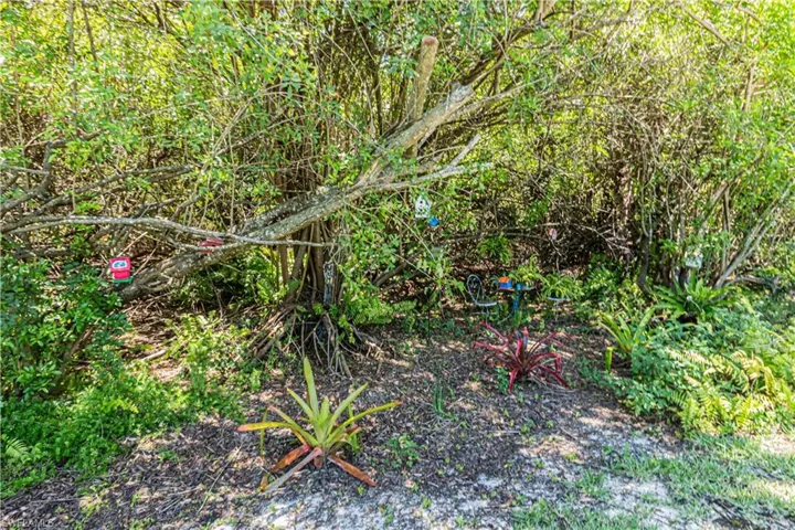 6685 Everglades Blvd N, Naples, Florida 34120