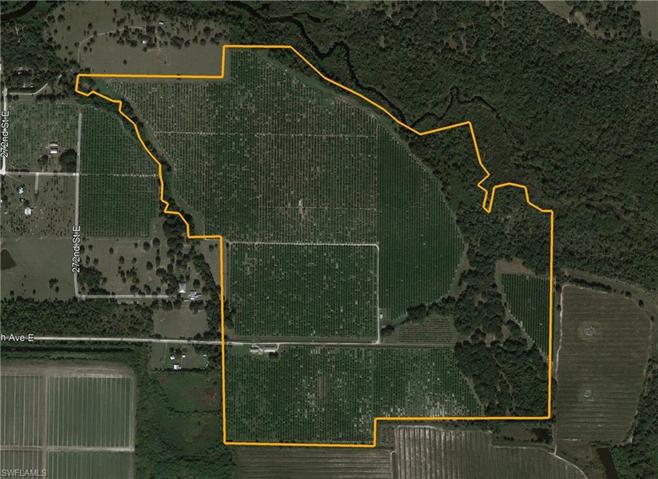 28100  45th E AVE, MYAKKA CITY, FL 34251