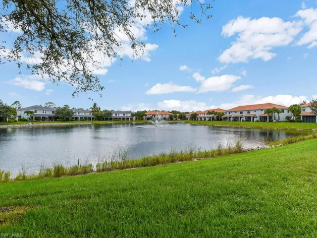 Peaceful Lake View