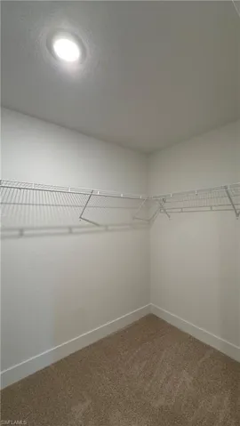 Walk-in closet with integrated wire shelving and plush carpet flooring
