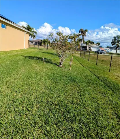 Fenced Side Yard-Dog Run with two gates