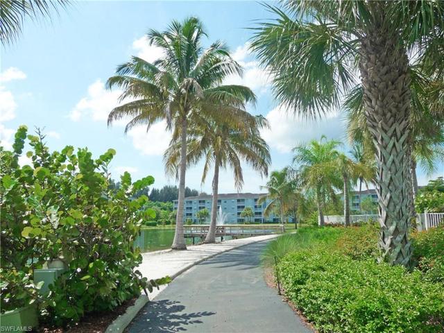 Walk / Jog Path