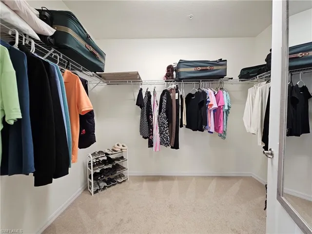Spacious closet with carpet flooring