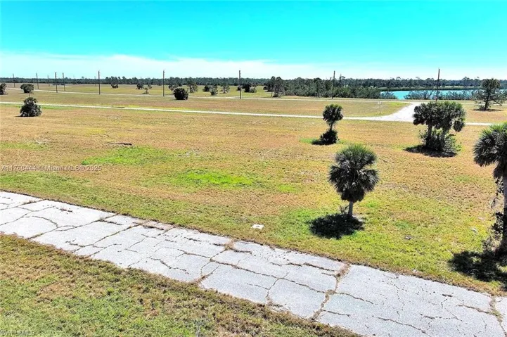 View of green lawn