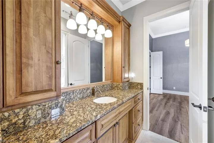 Bathroom with hardwood / wood-style floors, vanity, and ornamental molding