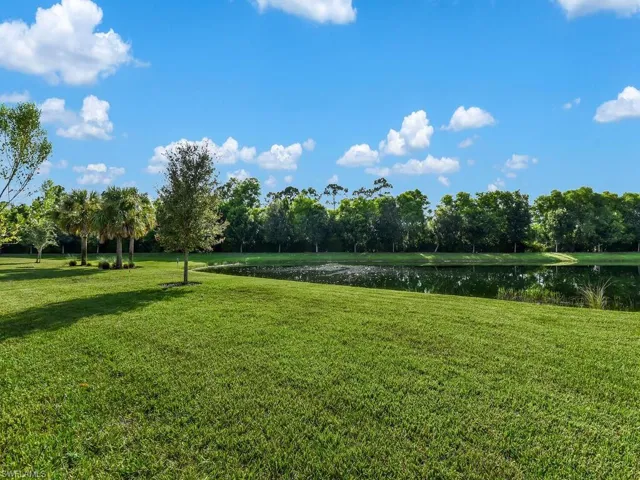 Backyard-Beautiful Lakeview