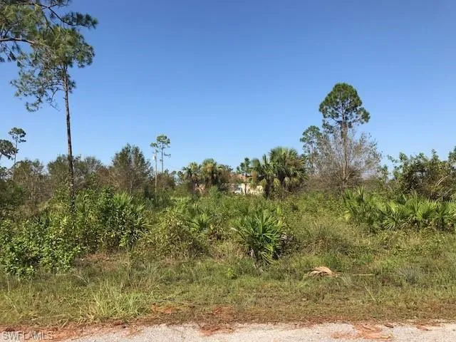 354  Bradley  AVE, Lehigh Acres, FL 33974