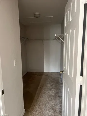 Spacious closet with carpet flooring