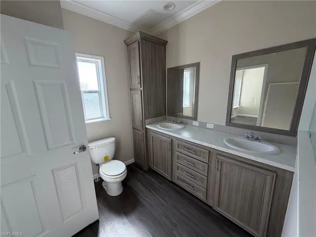 Full bathroom with double vanity, ornamental molding, and dark wood-style flooring