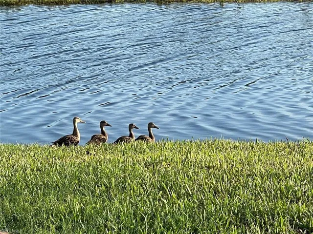 4142 Bay Beach Ln 4, Fort Myers Beach, Florida 33931