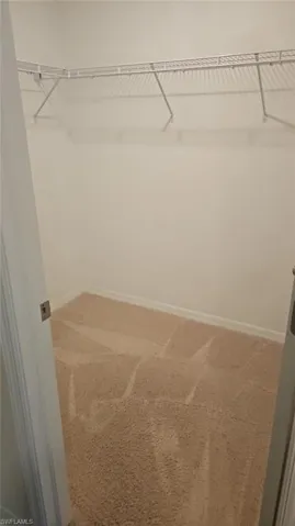 Walk-in closet featuring light beige wall-to-wall carpeting and perimeter wire shelving