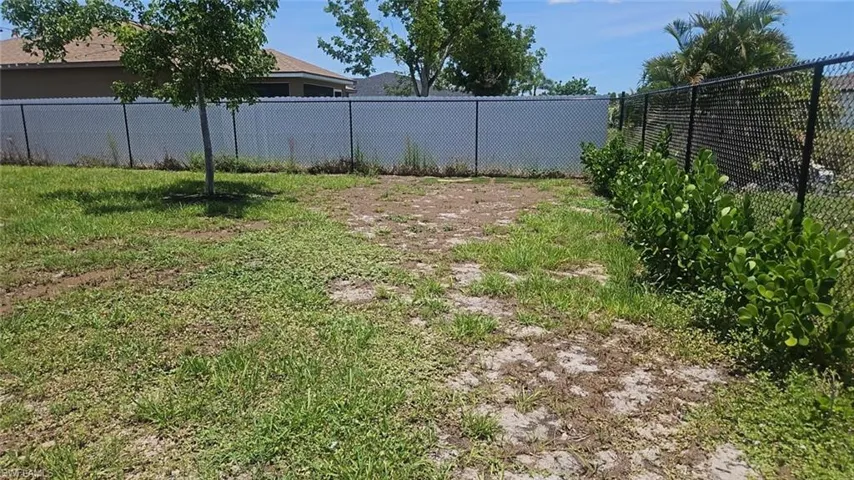 Expansive rear yard featuring partial perimeter fencing, mature shrubbery, and a young deciduous tree
