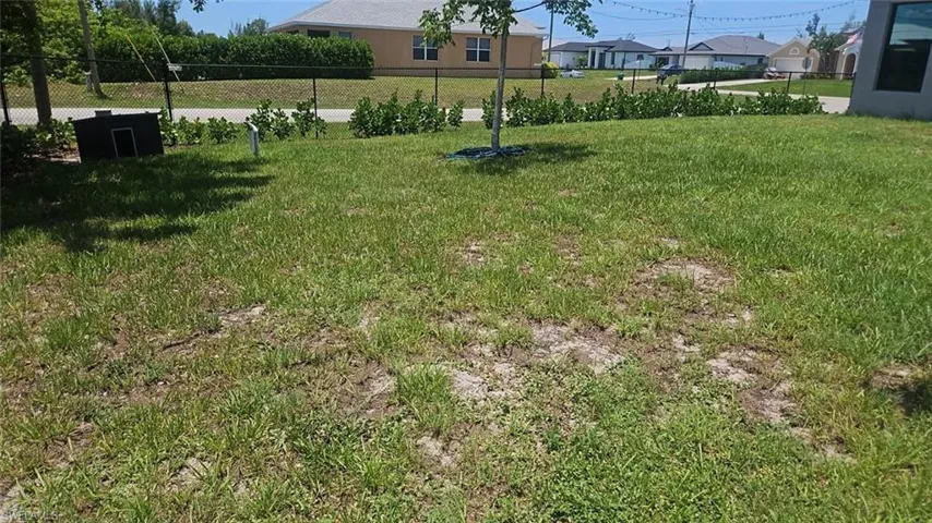Expansive lawn area featuring a young tree, established green shrubbery, and a chain-link fence bordering the property