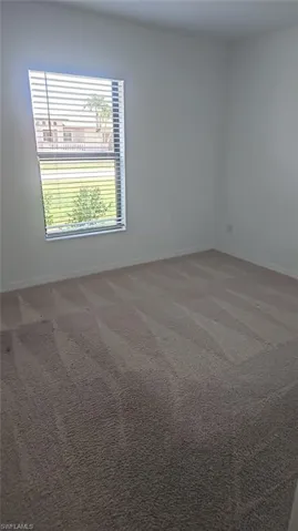 Neutral tone wall paint, window with horizontal blinds, and plush carpeting