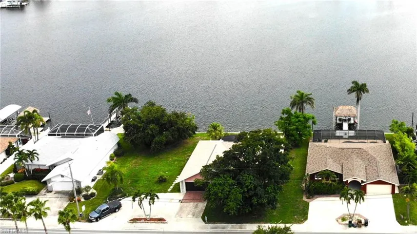 Dolphin Swimming behind home