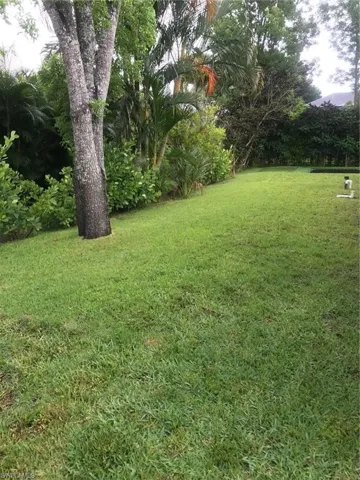 Back yard
