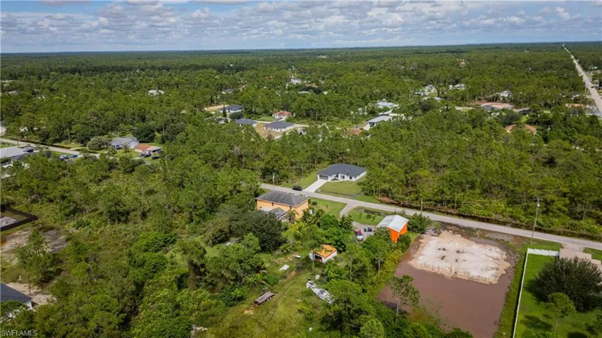 Drone / aerial view of a forest