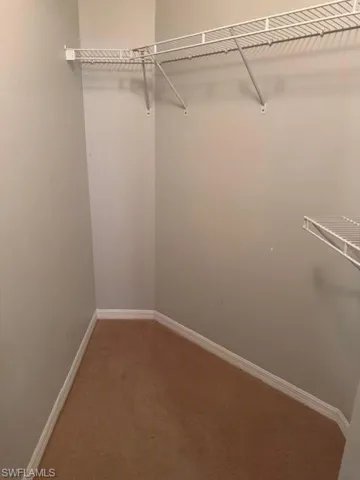 Spacious closet featuring carpet flooring