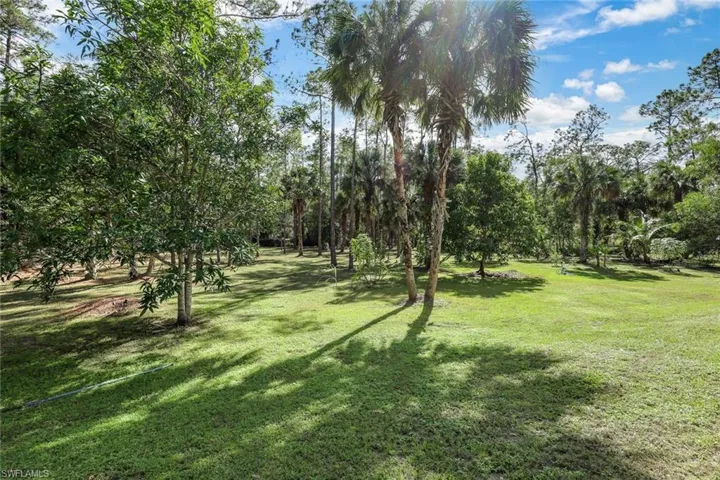 Huge back yard, fenced