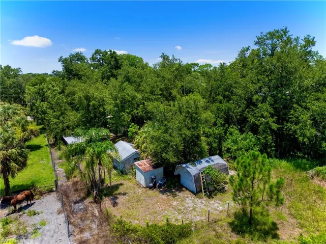 View of subject property featuring a forest