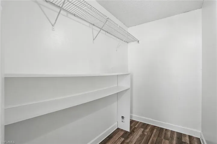 Spacious closet with dark wood finished floors