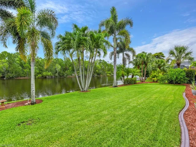 Mature Tropical Landscaping