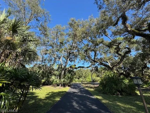 View along paved driveway facing the street