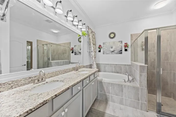 Bathroom featuring ornamental molding, vanity, and independent shower and bath