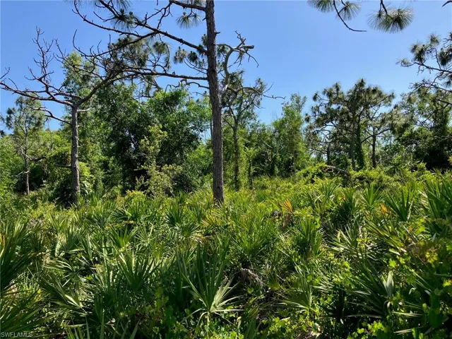 Located on Pine Island Ridge, one of the highest points on Pine Island, and an area that experienced no hurricane flooding