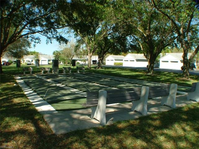 Shuffleboard Courts