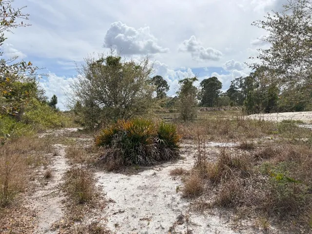 1132 Bermar ST, FORT MYERS FL 33913